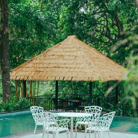 Athirapilly On The Rocks Hotel Athirappilly Luaran gambar