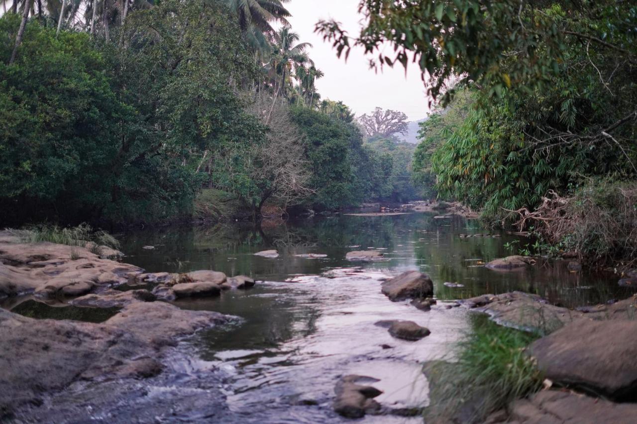 Athirapilly On The Rocks Hotel Athirappilly Luaran gambar