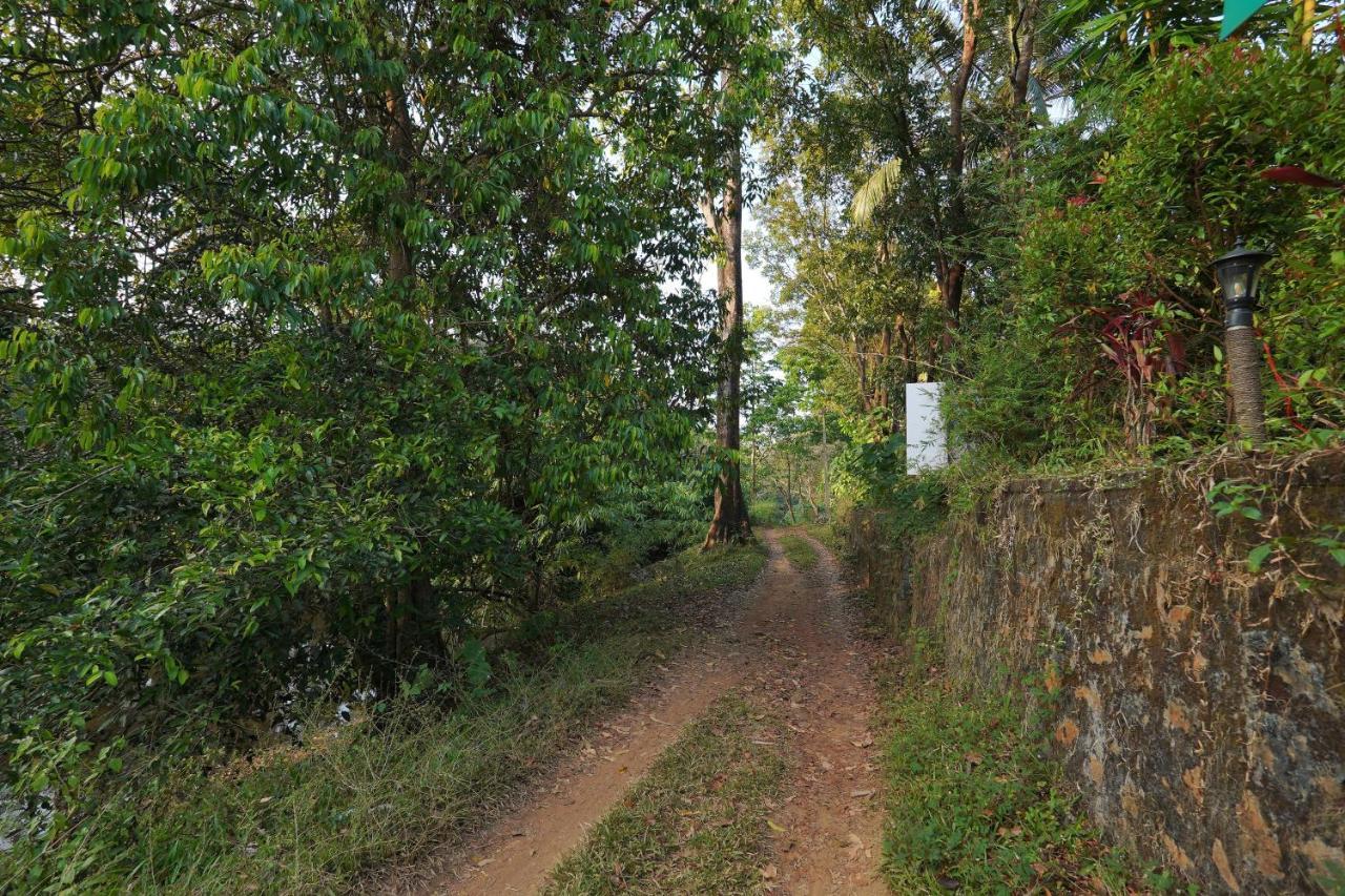 Athirapilly On The Rocks Hotel Athirappilly Luaran gambar