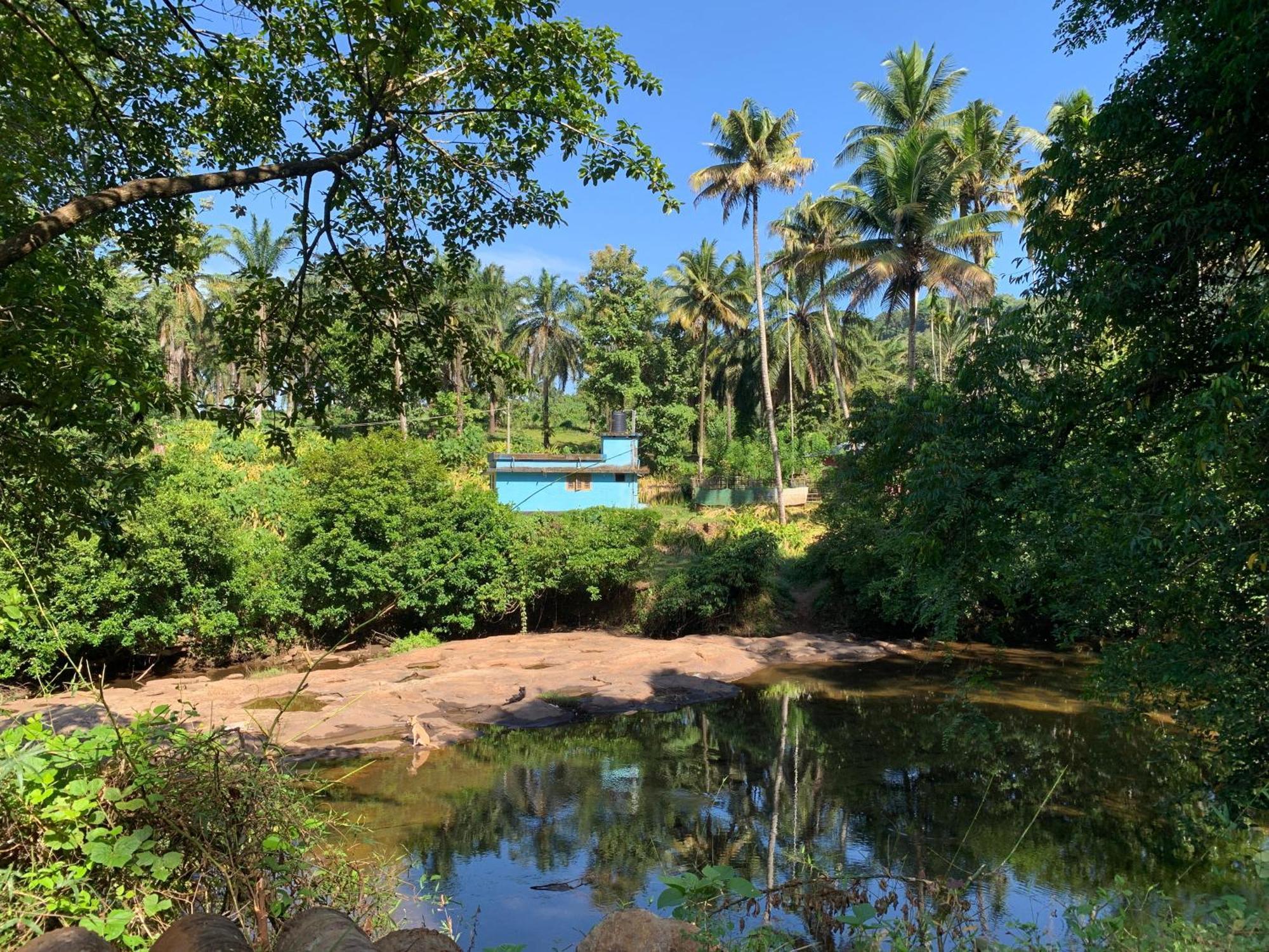 Athirapilly On The Rocks Hotel Athirappilly Luaran gambar